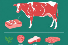 Телятина: нежное мясо с характером — что важно знать и как готовить