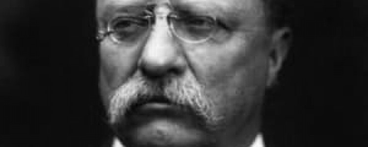 Теодор Рузвельт биография. 26-й президент Соединенных Штатов Америки.
