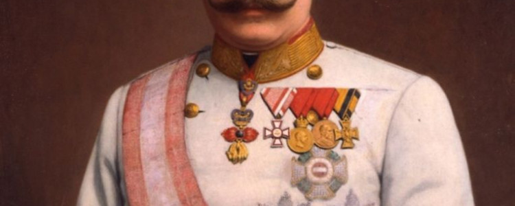 Франц Фердинанд биография. Эрцгерцог австрийский, с 1896 года наследник престола Австро-Венгрии