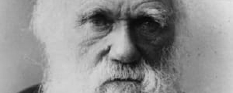 Чарлз Роберт Дарвин биография. Натуралист и путешественник