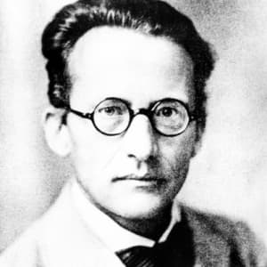 Эрвин Шрёдингер биография. Физик-теоретик, один из создателей квантовой механики